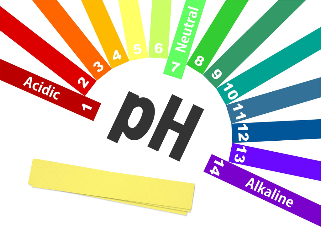 The Importance of Feminine pH Balance